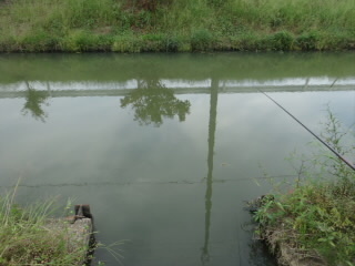 久しぶりに近所の用水路で小物釣り メインは川釣りたまに海釣り