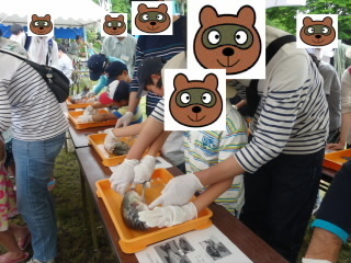 DSC01231.JPG