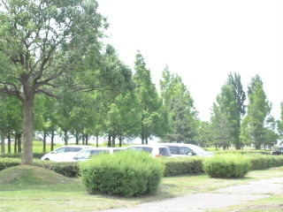 DSC02094.JPG