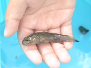 DSC02588.JPG