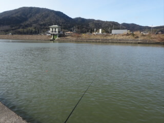 琵琶湖に流れる某川でワカサギに挑戦も メインは川釣りたまに海釣り