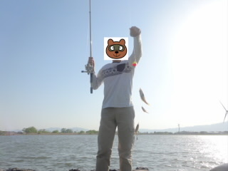 琵琶湖でブルーギル釣り メインは川釣りたまに海釣り