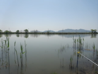 DSC06892.JPG