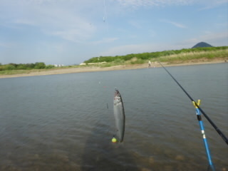 DSC07123.JPG