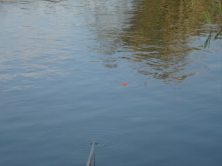 DSC07629.JPG