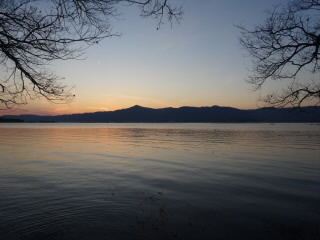 DSC08513.JPG